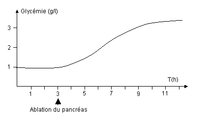 L'ablation du pancréas entraîne une augmentation de la glycémie