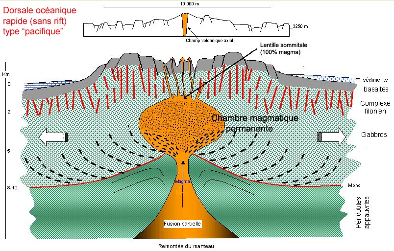 Tectonique des Plaques - Les Isothermes dans la Lithosphère