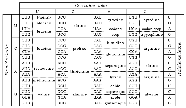 Le code génétique