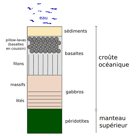 Coupe de la lithosphre ocanique