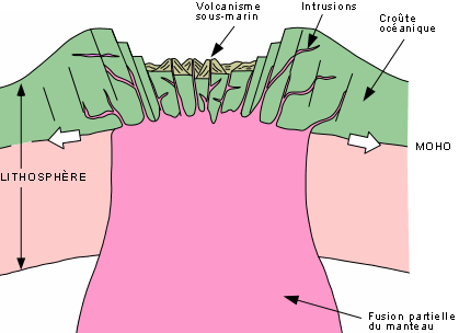 Coupe d'un rift ocanique