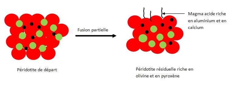 Fusion partielle de la pridotite