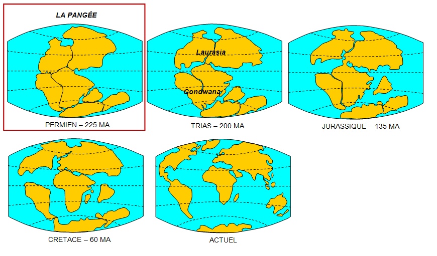 La tectonique des plaques : l'histoire d'un modèle - Cours de SVT de première S