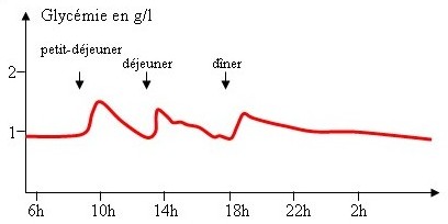 Glycémie au cours d'une journée chez  une personne en bonne santé