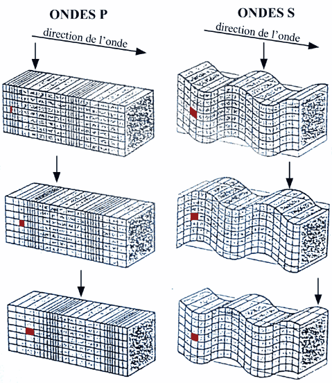 Mode de propagation des ondes P et S